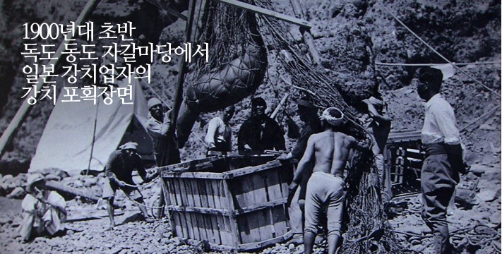 1900년대 초반 독도 동도 자갈마당에서 일본 강치업자의 강치 포획장면